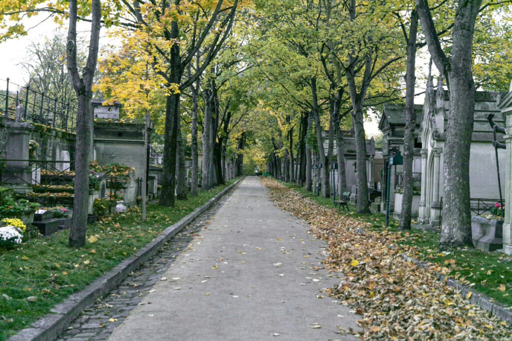 Walk under the trees in Montmartre Cemetery in Paris
